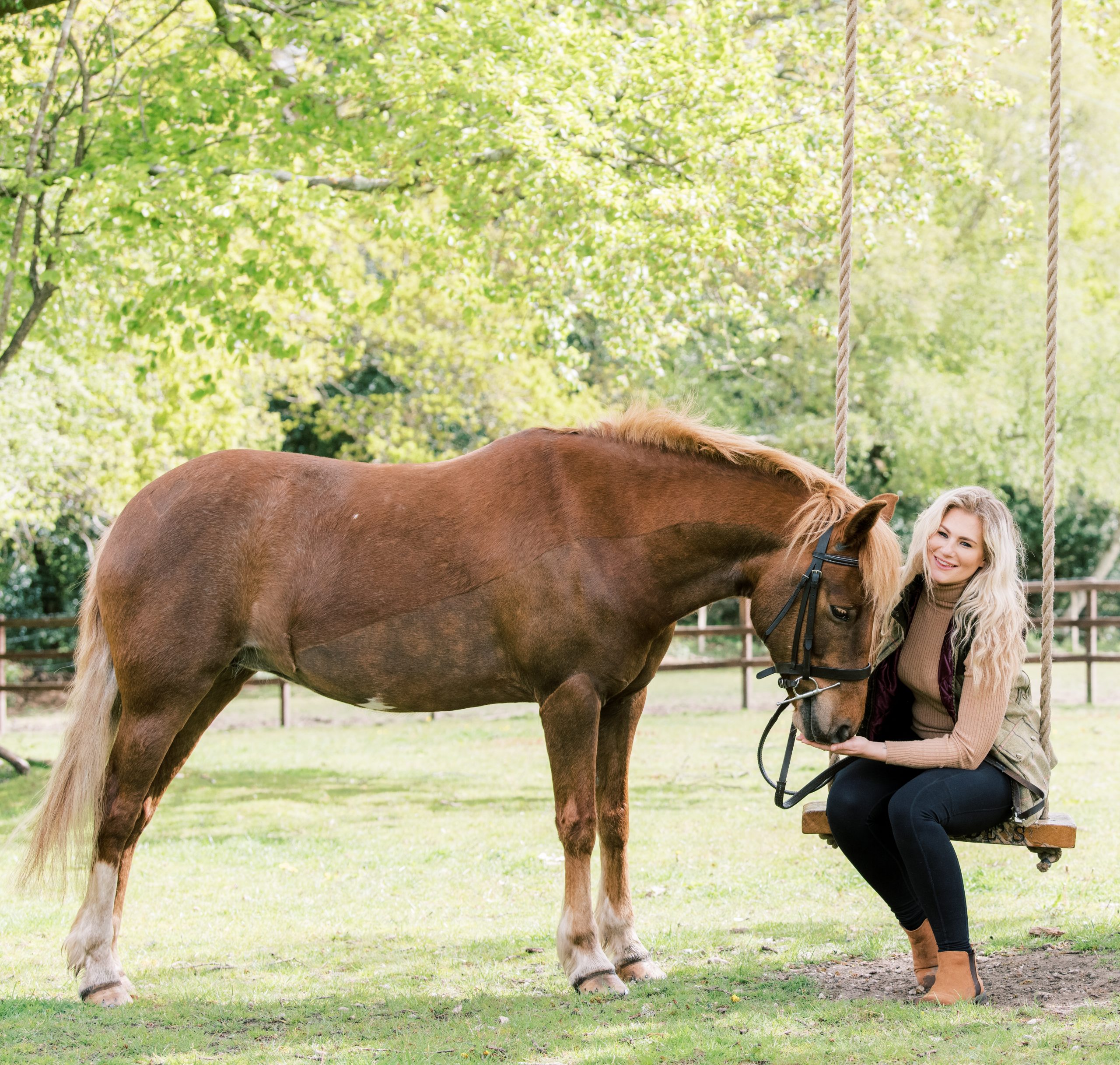 The 5 Common Mistakes New Equine Photographers Make