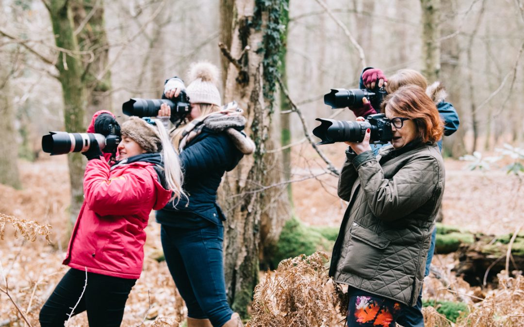 You Know You’re an Equestrian Photographer When…