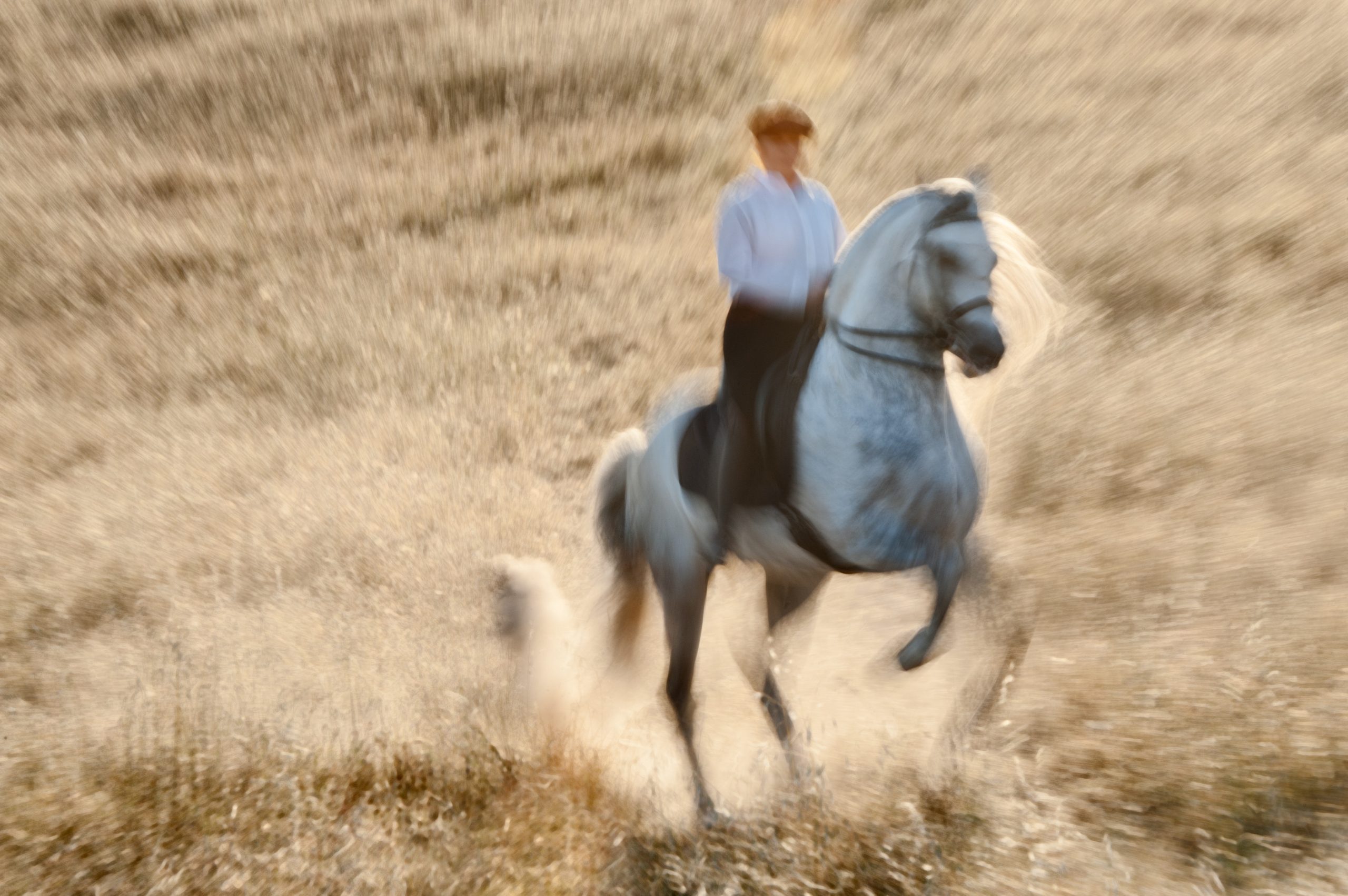 How to add equine fine art to your portfolio